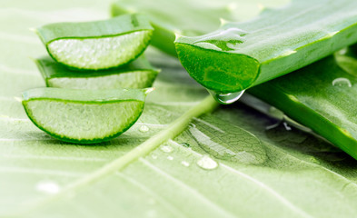 function of aloe vera in human body