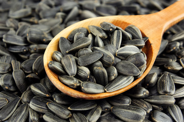 Health benefits of sunflower seeds