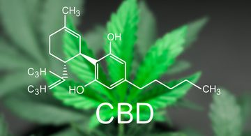 What is CBD